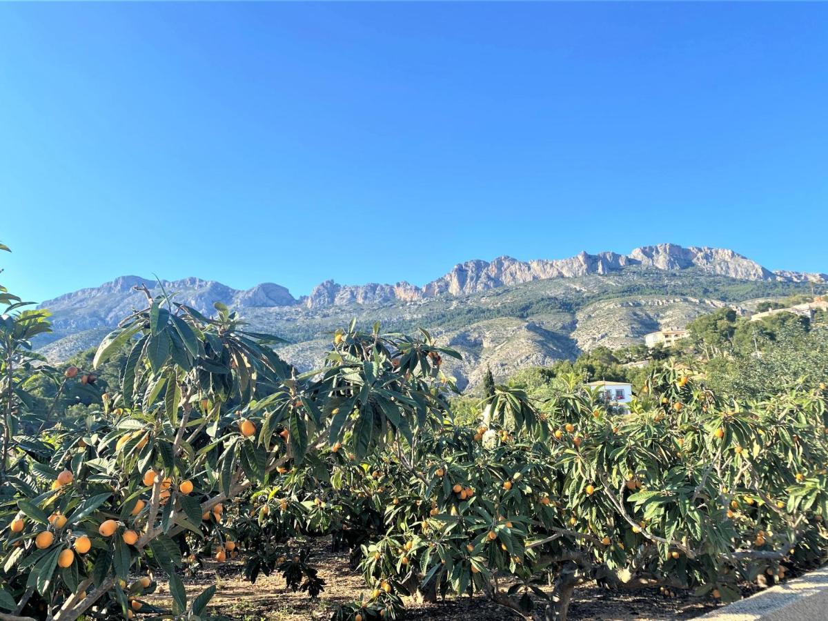 Villa Esmeralda Altea la Vieja Extérieur photo